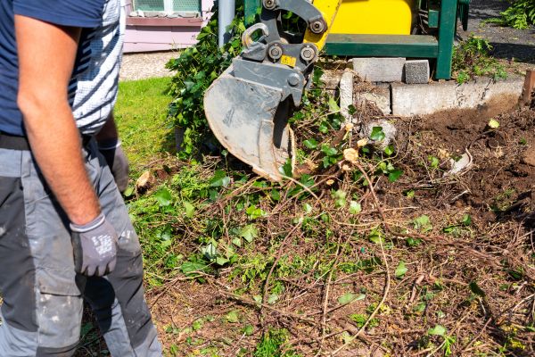 Hedge Removal Service in Laguna Niguel