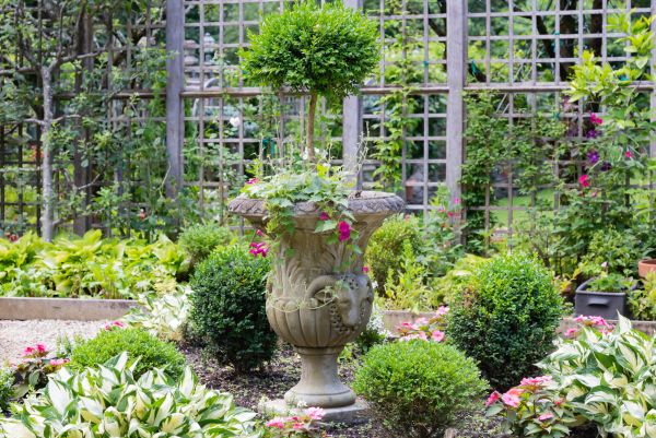 Cost of Topiary Pruning in Laguna Niguel