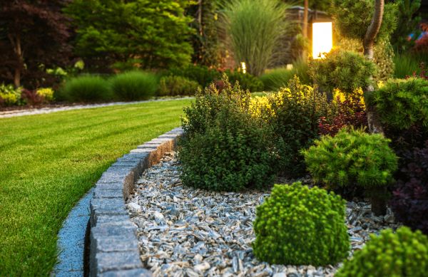 Cost of Bush Relocation in Laguna Niguel