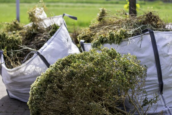 Cost of Shrubs Removal in Laguna Niguel