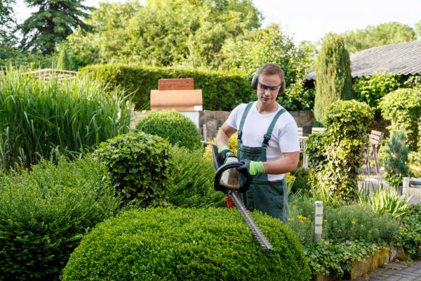 Shrubs Trimming in Laguna Niguel