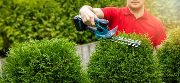 Cost of Hedge Shaping Service in Laguna Niguel
