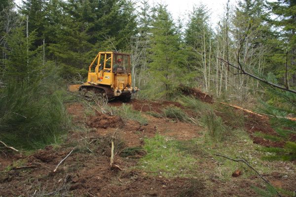 Cost of Shrubbery Clearing in Laguna Niguel