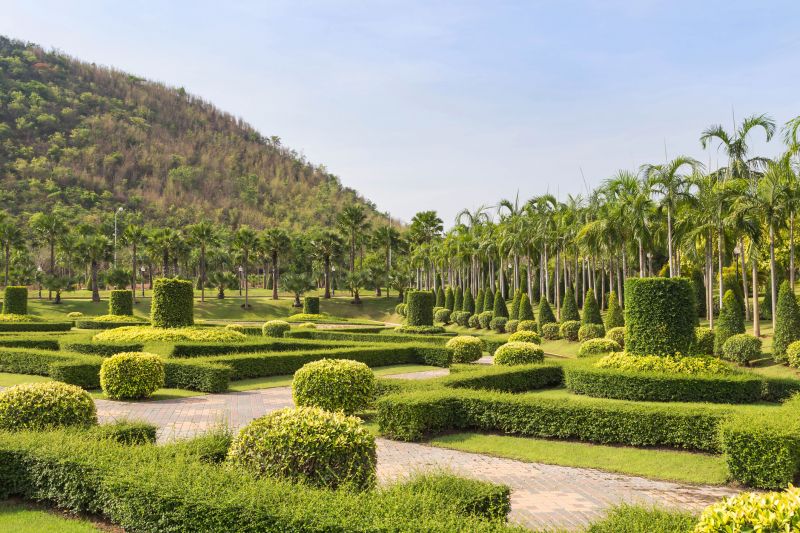 Shrubs in a Formal Garden